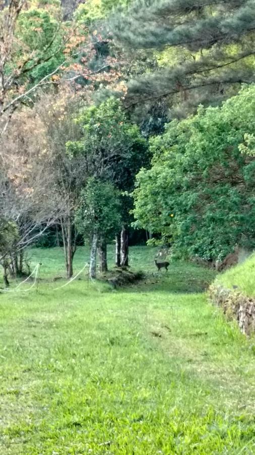 Estalagem Reserva Da Collina Gramado Ngoại thất bức ảnh