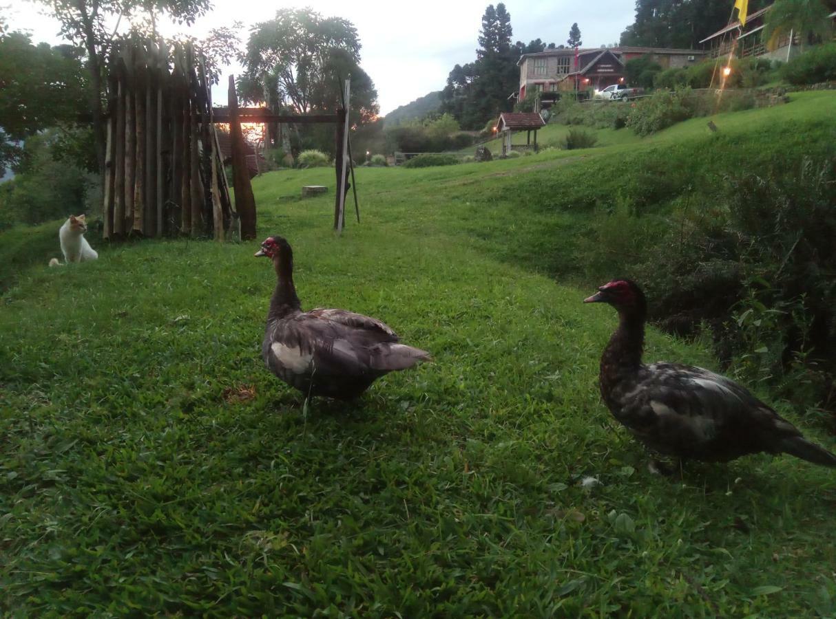 Estalagem Reserva Da Collina Gramado Ngoại thất bức ảnh