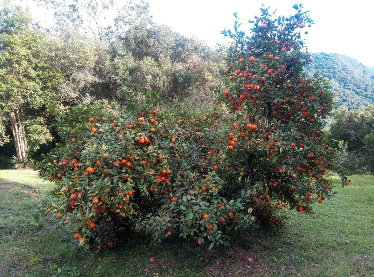 Estalagem Reserva Da Collina Gramado Ngoại thất bức ảnh